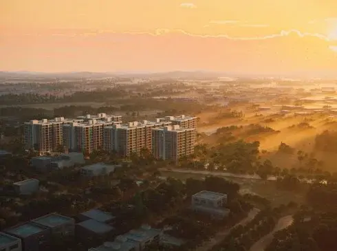 s03-00150-490x365 (1)